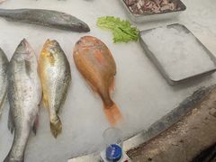 -郑庄脂渣海鲜楼(九水路店)