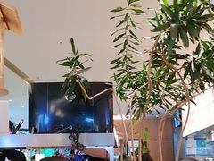 -桂满陇·杭州小馆(巴黎春天浦建店)