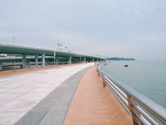 -演武大桥观景平台