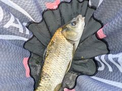 -酷鱼垂钓CLUB(朝阳区博大路店 )