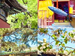 -潭柘寺景区