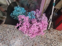 -Libra Flora花店(骆岗中央公园店)
