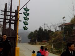 -千年银杏谷文化旅游区