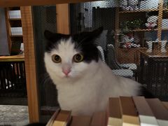 -么么咖啡(燕郊店)