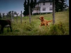 -天幕新彩云国际影城(激光巨幕店)