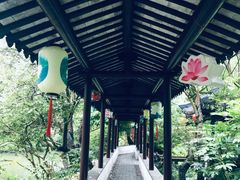 -上海醉白池公园