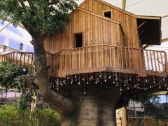 景点-杭州开元森泊度假乐园