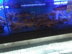-阿伟海鲜楼·福建菜(延寿店)