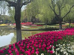 -上海鲜花港