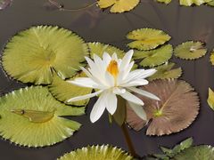 -国家植物园南园