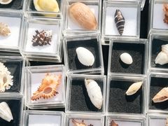 -万达广场(武汉菱角湖店)