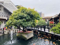 -猪肉婆私房菜(容桂总店)