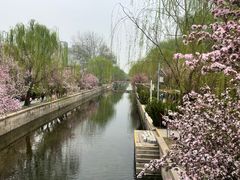 -元大都城垣遗址公园