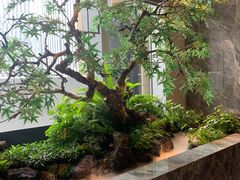 -海立阁海鲜江浙菜(漕河泾印象城店)