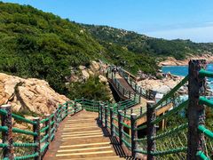 -广东惠东海龟国家级自然保护区