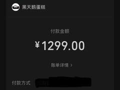 -BLACKSWAN黑天鹅(环球店)
