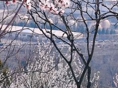 -白水寺森林公园