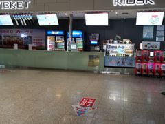 -汉阳天河电影城(王家湾店)