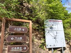 -大岭沟猕猴桃谷风景区