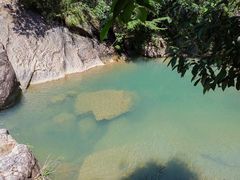 -广州白江湖森林公园