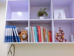 -美迦爱-牙专科·兔科·骨科诊疗中心(北苑店)