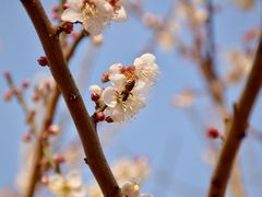 -广州市流溪河国家森林公园