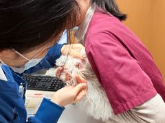 -瑞派康怡24h宠物医院·犬猫医疗中心·微创绝育(瑞景分院)
