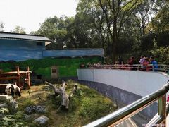 -柳州市动物园