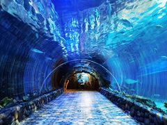 -华夏文旅海洋公园