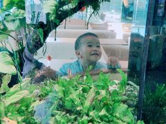 -大家乐(佛山南海店)