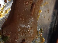 魔芋-老字号胡烤肉(三十年老店)