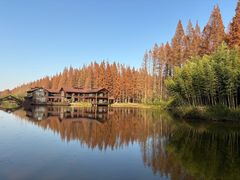 -黄海国家森林公园