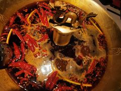 -小龙翻大江文化火锅(宽窄店)