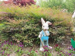 -合肥滨湖国家森林公园