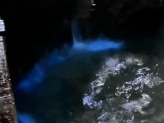 -阿军排档·烧烤
