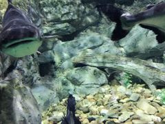 -常州海昌海洋探索馆