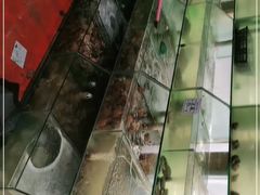 -雅逸居海鲜小厨