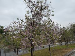 -华农酸奶文化馆