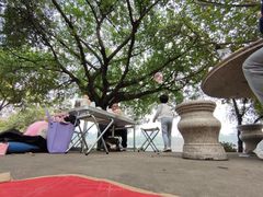 -南国桃园旅游度假区