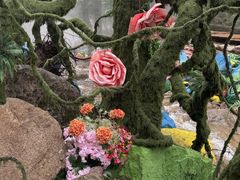 -洛阳白云山景区