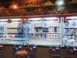 -卡通尼·Safari非洲探索乐园·生日会(金桥国际商业广场店)