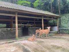 -太阳湾风景区