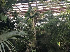 -呀路古热带植物园-恐龙馆