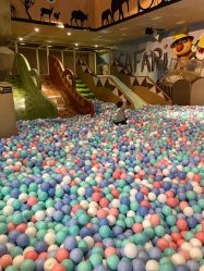 -卡通尼·Safari非洲探索乐园·生日会(金桥国际商业广场店)