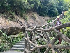 -东莞市大岭山森林公园