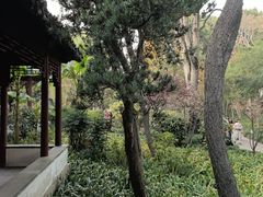 -秋霞圃