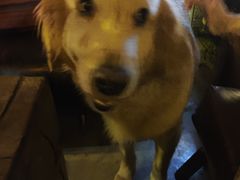 -城墙外BAR
