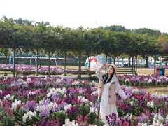 -盈香心动乐园