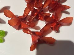 -映水芙蓉(长宁来福士店)