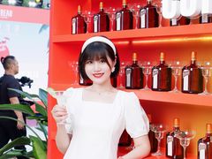 -深圳皇庭V酒店